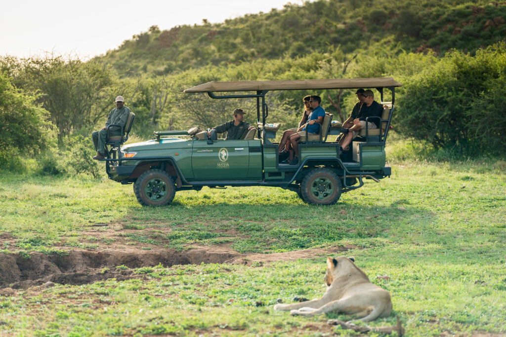 Small game drive vehicle in private game reserve in South Africa