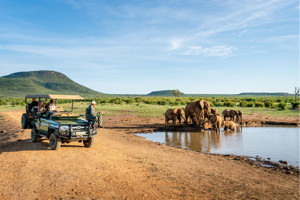 Mateya guests watching elephants at watering hole while on African safari
