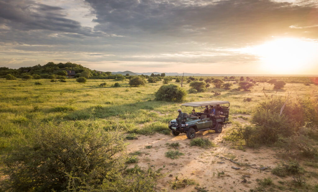 Sunny Christmas safari holiday in Madikwe Game Reserve