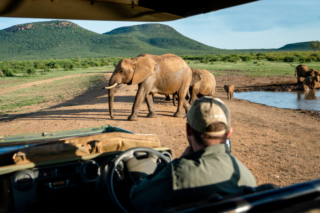 all-inclusive luxury safari holiday in South Africa